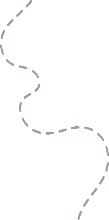 Dotted lines